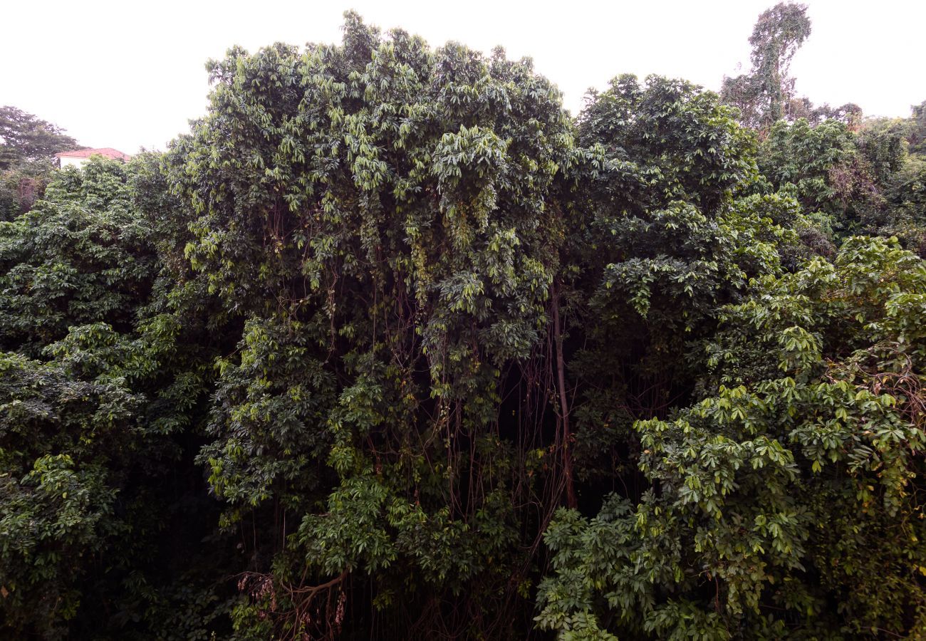 Vista desde la ventana del apartamento.